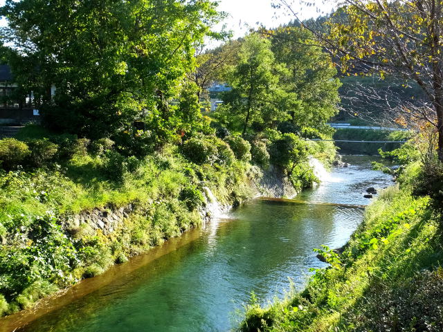 池上湧水からの清流