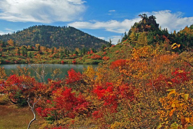 弓が池の紅葉