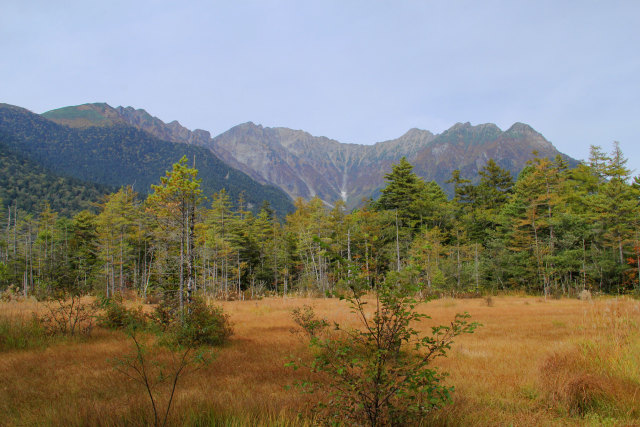 田代湿原・草紅葉