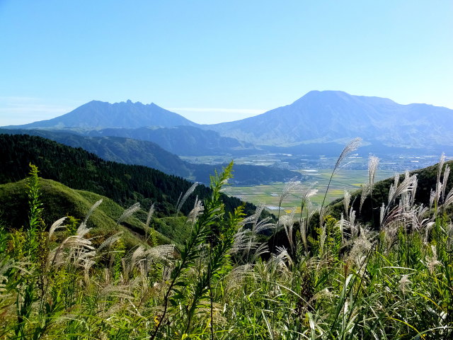 すすきの向こうに見える阿蘇山