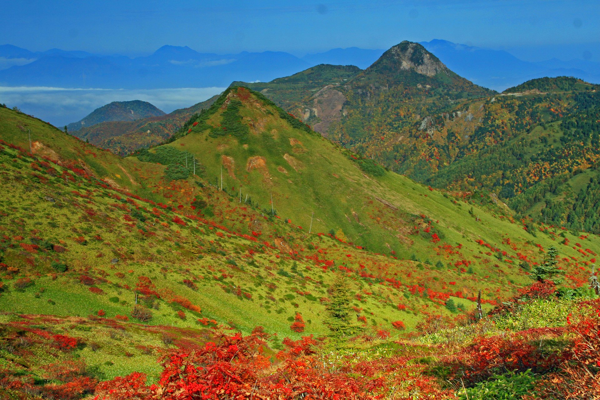 日本の風景 紅葉志賀高原 壁紙19x1280 壁紙館