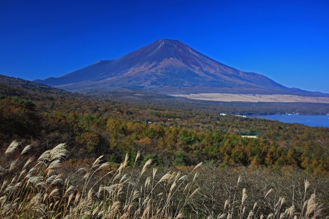 パノラマ台からの富士山