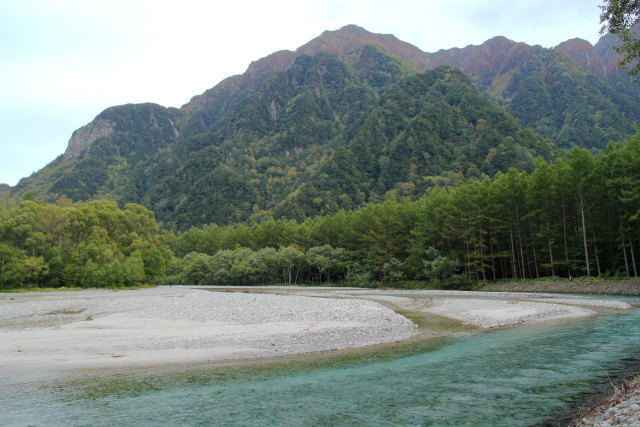 梓川畔・落葉松林と六百山