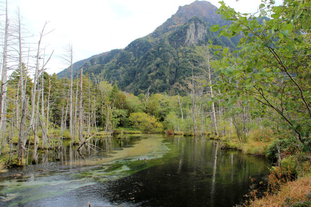 岳沢湿原と六百山