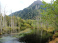 岳沢湿原と六百山