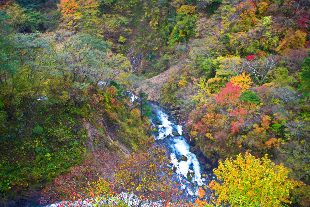 華厳の滝 下流の紅葉