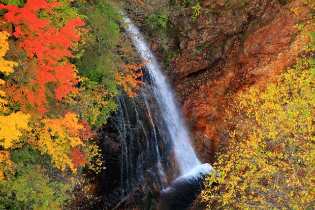 滝と紅葉