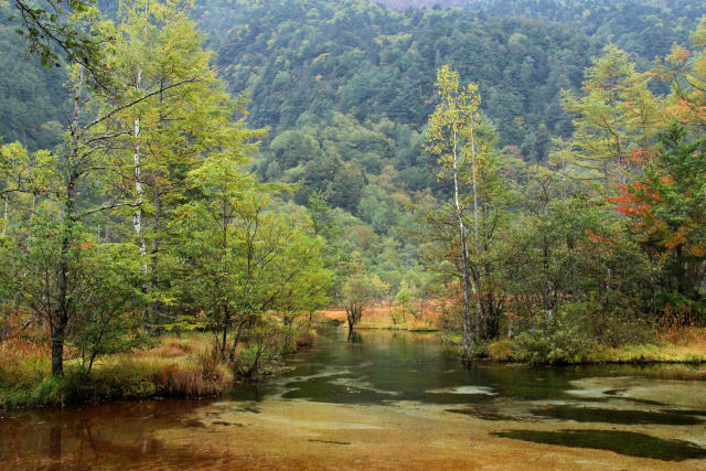 紅葉進む田代池