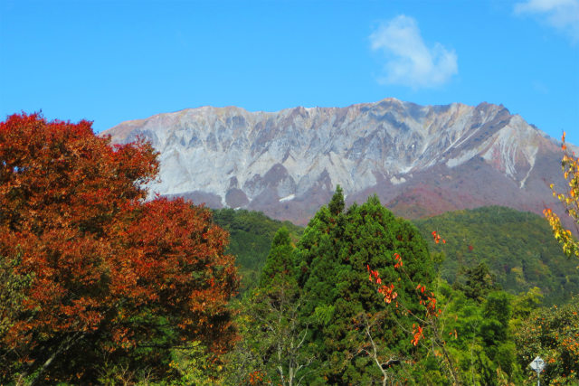 紅葉の季節を待ちわびて13