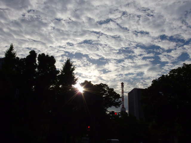 日比谷公園の空