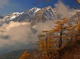 秋の栂池自然園