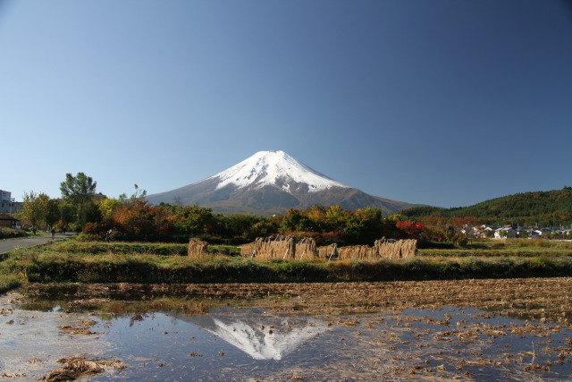 のどかな風景