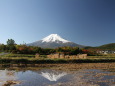 のどかな風景