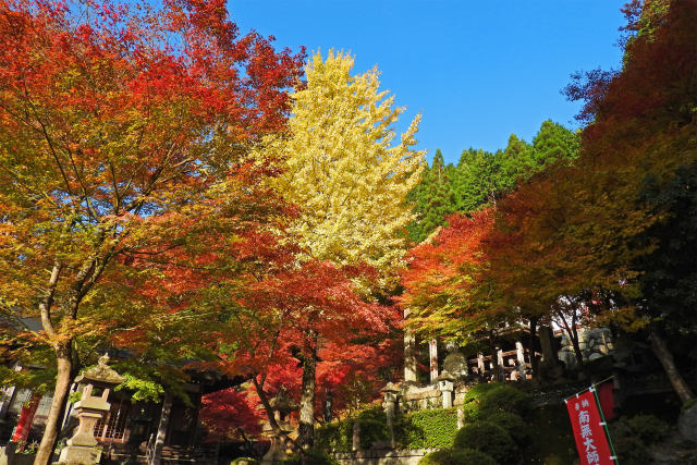 境内の紅葉-鮮やか