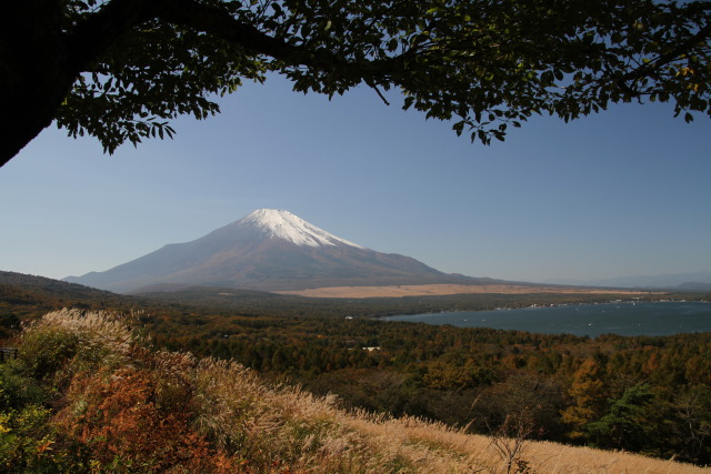 パノラマ台からの富士山