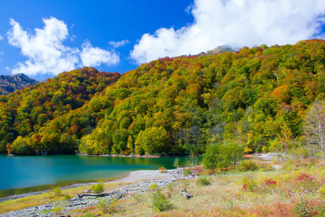 白水湖の紅葉