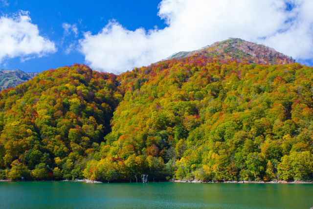 白水湖の紅葉