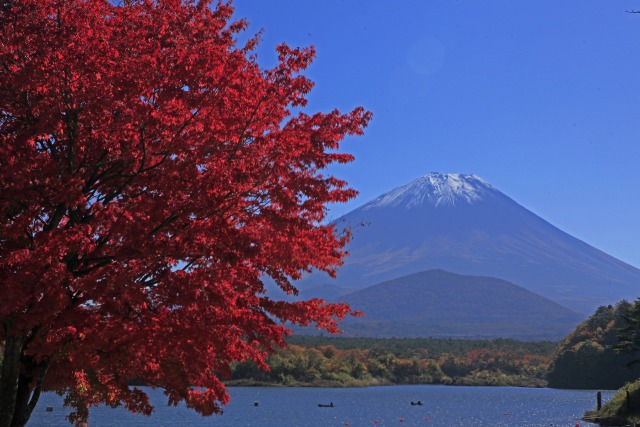 湖畔の紅葉