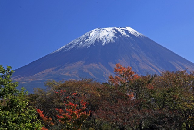 朝霧高原で見る富士