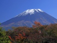 朝霧高原で見る富士