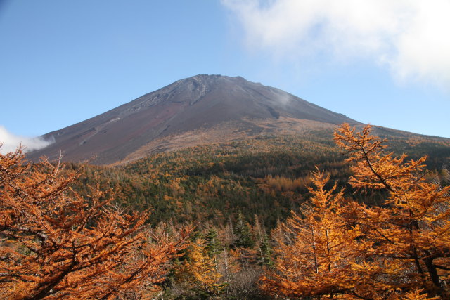 奥庭の紅葉