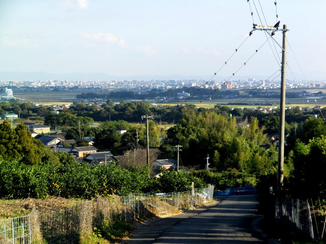 神社山道から佐賀市街遠景