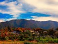 里山の紅葉