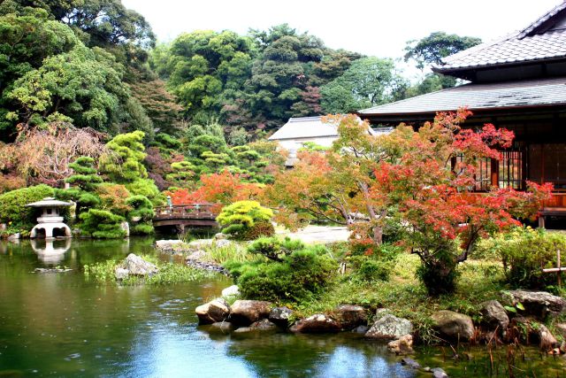 色づき始めた長府庭園