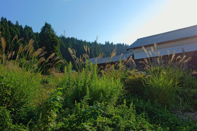 山里の秋