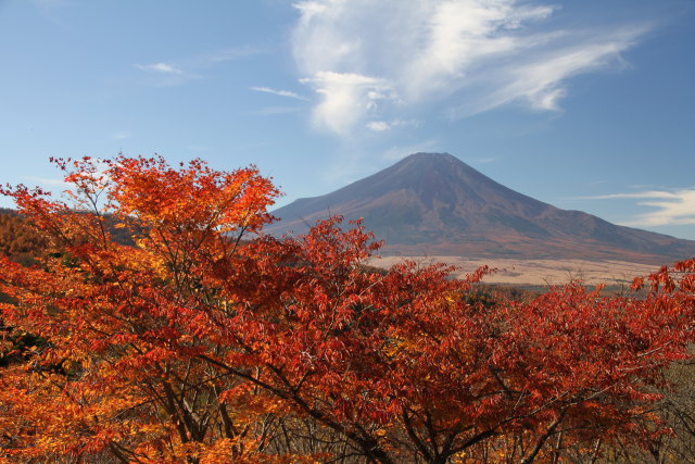 紅葉&富士山