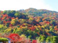 錦秋の嵐山