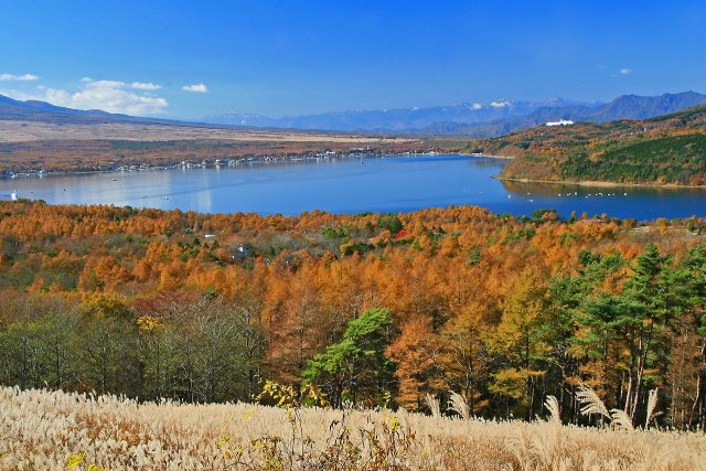 秋の山中湖