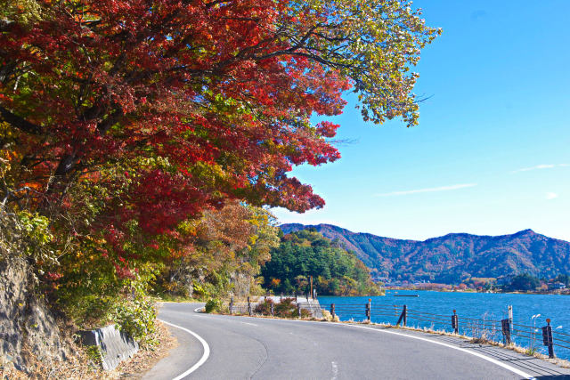 河口湖 湖北ビューライン