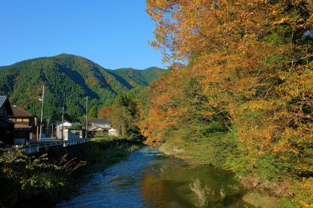 山竹田の秋