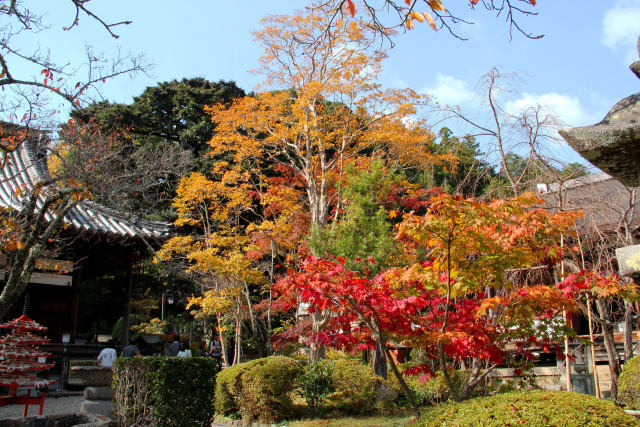 海住山寺・境内の紅葉