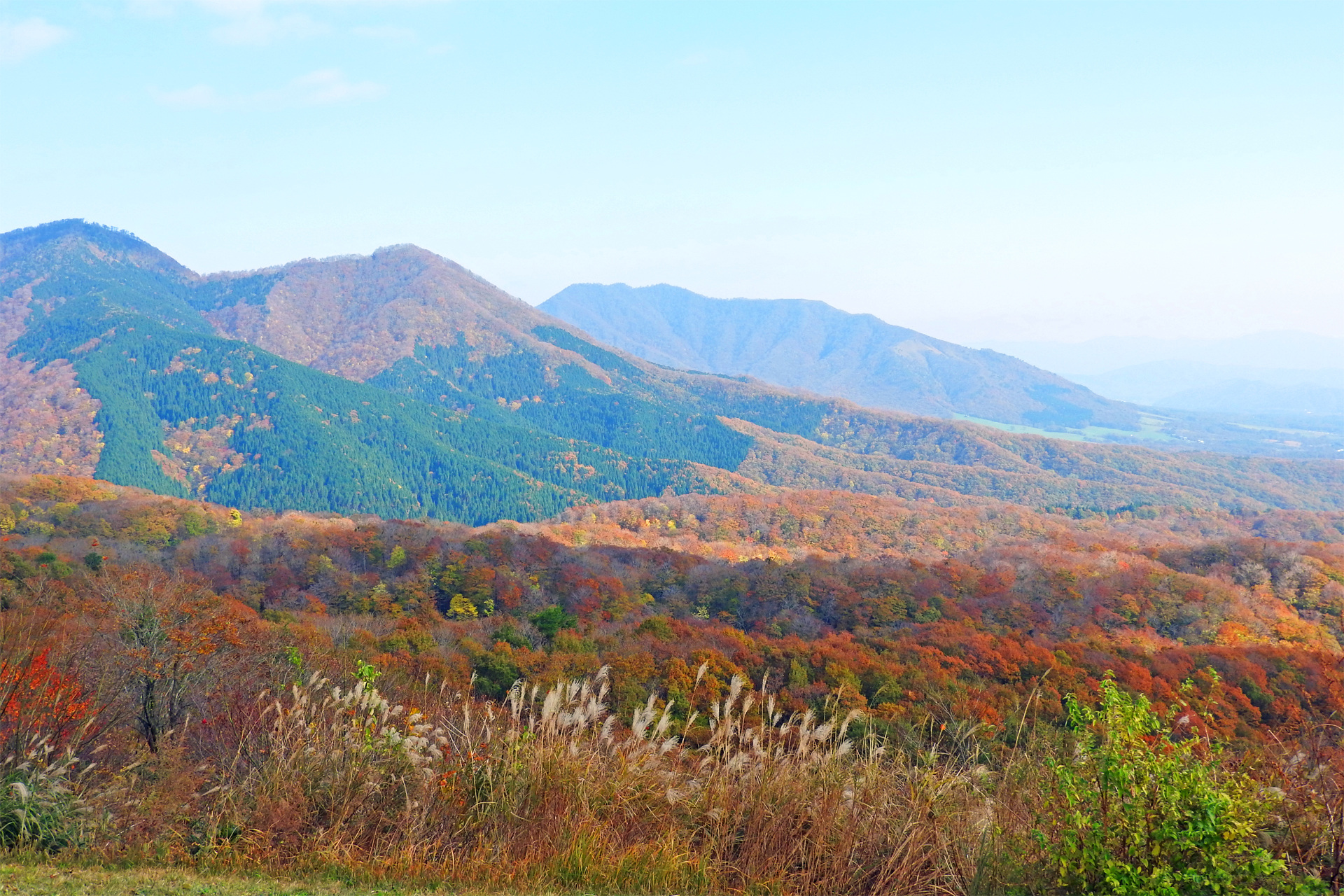 日本の風景 紅葉の蒜山高原3 壁紙19x1280 壁紙館