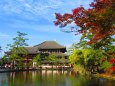 東大寺大仏殿の秋