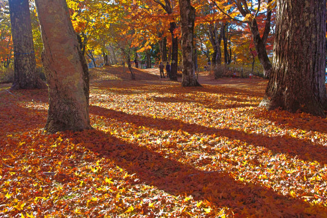 散紅葉