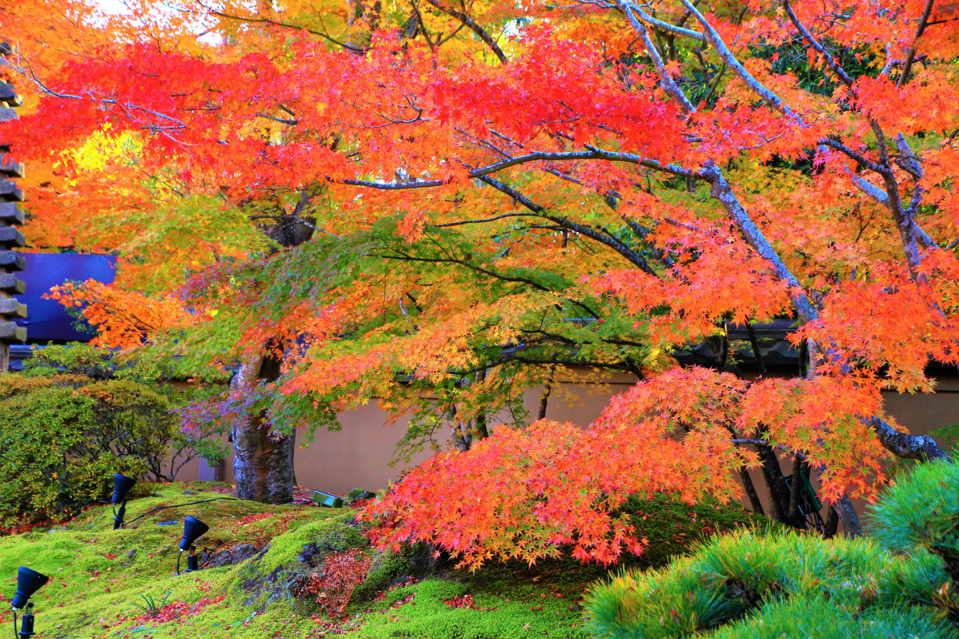 日本の風景 秋の庭園 壁紙19x1280 壁紙館