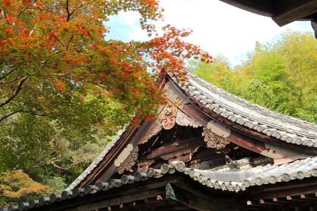 現光寺・甍を取り巻く紅葉