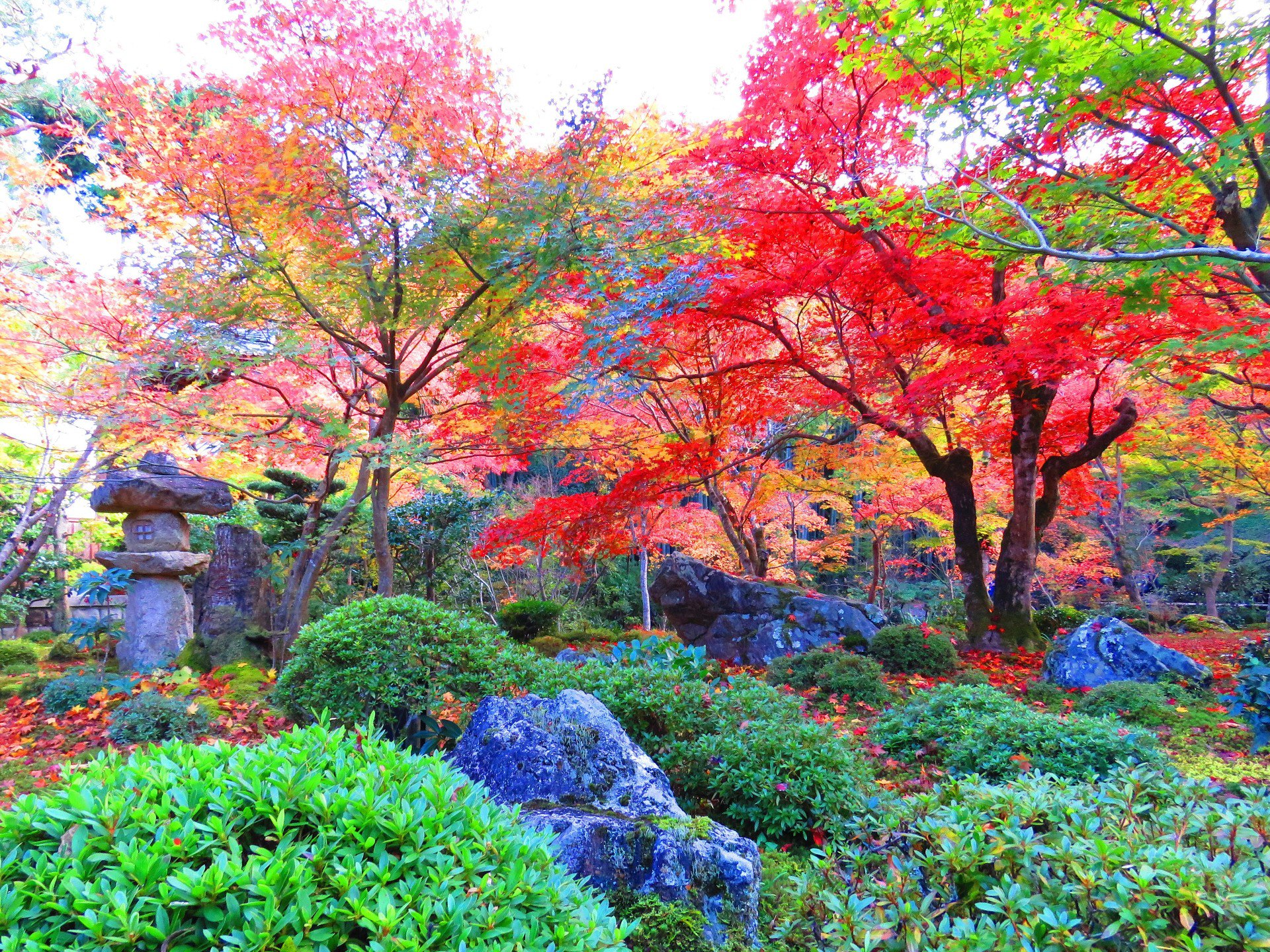 日本の風景 京の紅葉の名所 圓光寺十牛の庭 壁紙19x1440 壁紙館