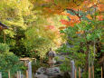 常念寺・本坊庭園