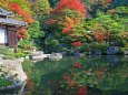 湖東三山の紅葉