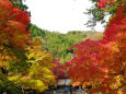 紅葉の馬場