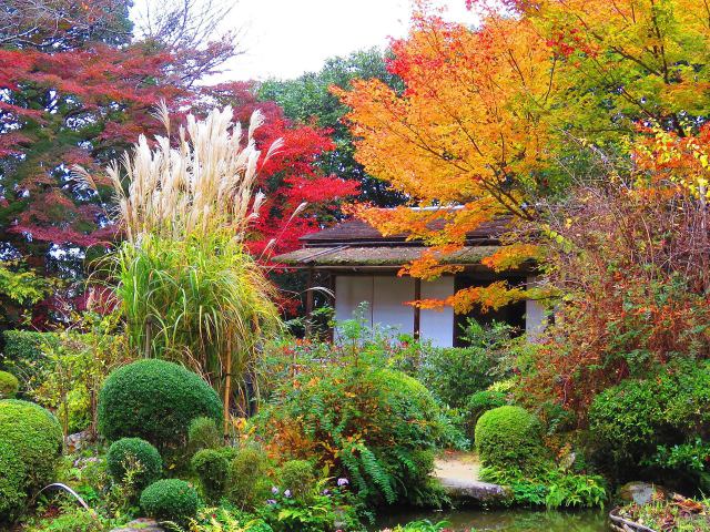 京の紅葉・詩仙堂残月軒の秋