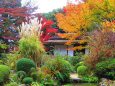 京の紅葉・詩仙堂残月軒の秋