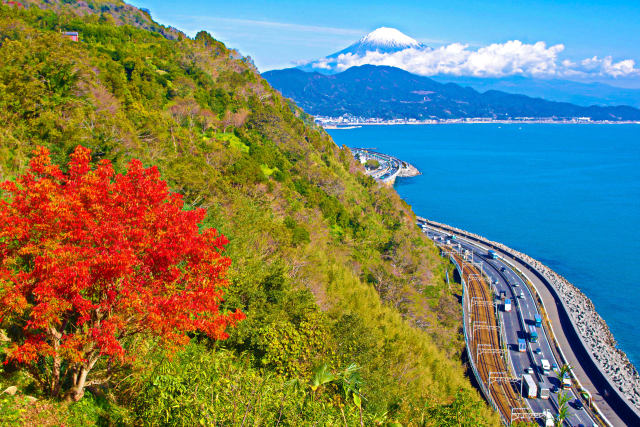 さった峠からの富士山