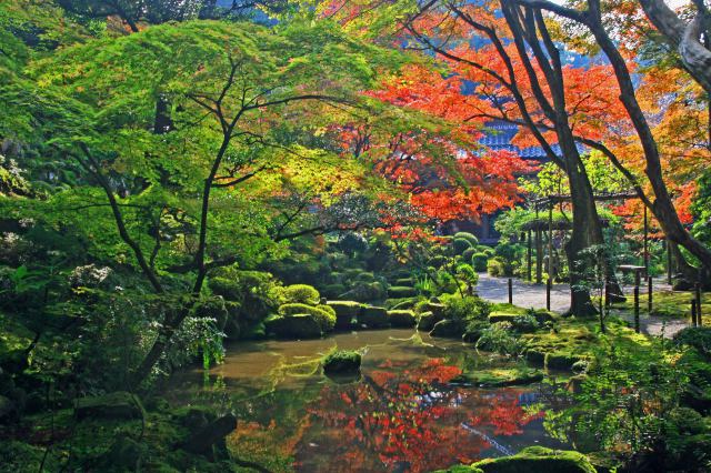 湖東三山の紅葉