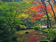 湖東三山の紅葉