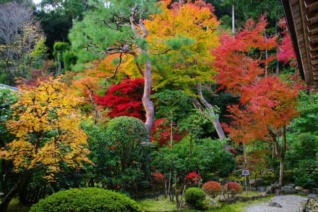 紅葉の存在感